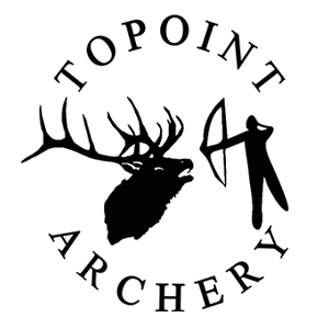 Topoint Logo