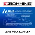 Preview: Bohning Vanes Alpha AR1250 2.8" (100 Pcs.)