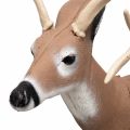 Preview: Delta McKenzie 3D-Target Challenger Deer