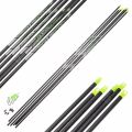 Preview: Easton Arrow Shaft Axis 5 mm Match Grade .001 (12 Pcs.)