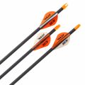 Preview: Easton Fletched Arrow Sonic 6.0 (6 Pcs.)