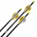 Preview: Easton Fletched Arrow 6.5 mm Hunter Classic (6 Pcs.)