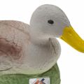 Preview: Eleven 3D Target Duck