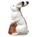 Preview: Eleven 3D Target Artic Hare