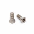 Preview: Gillo Limb Bolt Locking Screw (2 Pcs.)