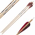 Preview: Gold Tip Fletched Arrow Traditional (6 Pcs.)