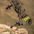 Preview: Hoyt Bow Stand Go-Stix Carbon 2.0