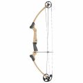 Preview: Genesis Compound Bow