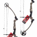 Preview: Genesis Compound Bow Kit