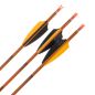 Preview: Shocq Fertigpfeil Inceptor 4.2 mm (12 Stk.)