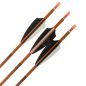 Preview: Shocq Fertigpfeil Inceptor 4.2 mm (12 Stk.)