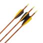 Preview: Shocq Fertigpfeil Inceptor 4.2 mm (12 Stk.)