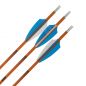 Preview: Shocq Fertigpfeil Inceptor 4.2 mm (12 Stk.)