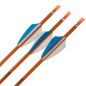 Preview: Shocq Fertigpfeil Inceptor 4.2 mm (12 Stk.)