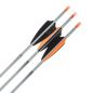 Preview: Shocq Fertigpfeil Inceptor 4.2 mm (12 Stk.)