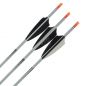 Preview: Shocq Fertigpfeil Inceptor 4.2 mm (12 Stk.)