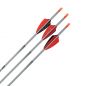 Preview: Shocq Fertigpfeil Inceptor 4.2 mm (12 Stk.)