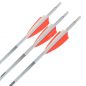 Preview: Shocq Fertigpfeil Inceptor 4.2 mm (12 Stk.)