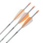 Preview: Shocq Fertigpfeil Inceptor 4.2 mm (12 Stk.)