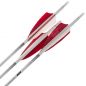 Preview: Shocq Flèches Montées Inceptor 4.2 mm avec Plumes Naturelles (par 12)