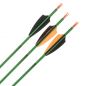 Preview: Shocq Fertigpfeil Inceptor 4.2 mm (12 Stk.)