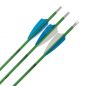 Preview: Shocq Fertigpfeil Inceptor 4.2 mm (12 Stk.)