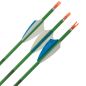 Preview: Shocq Fertigpfeil Inceptor 4.2 mm (12 Stk.)
