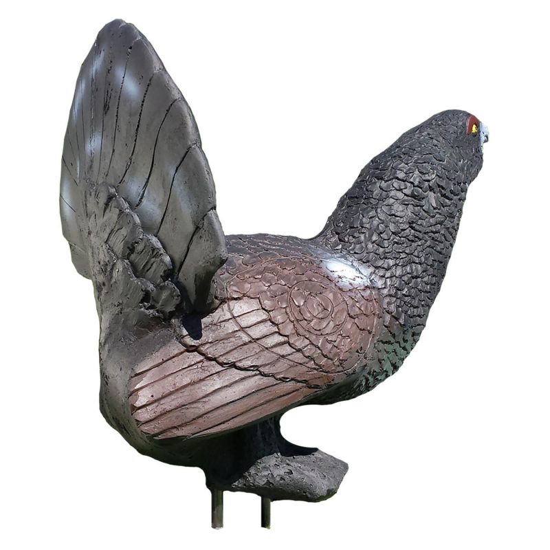 Eleven 3D Ziel Birkhahn