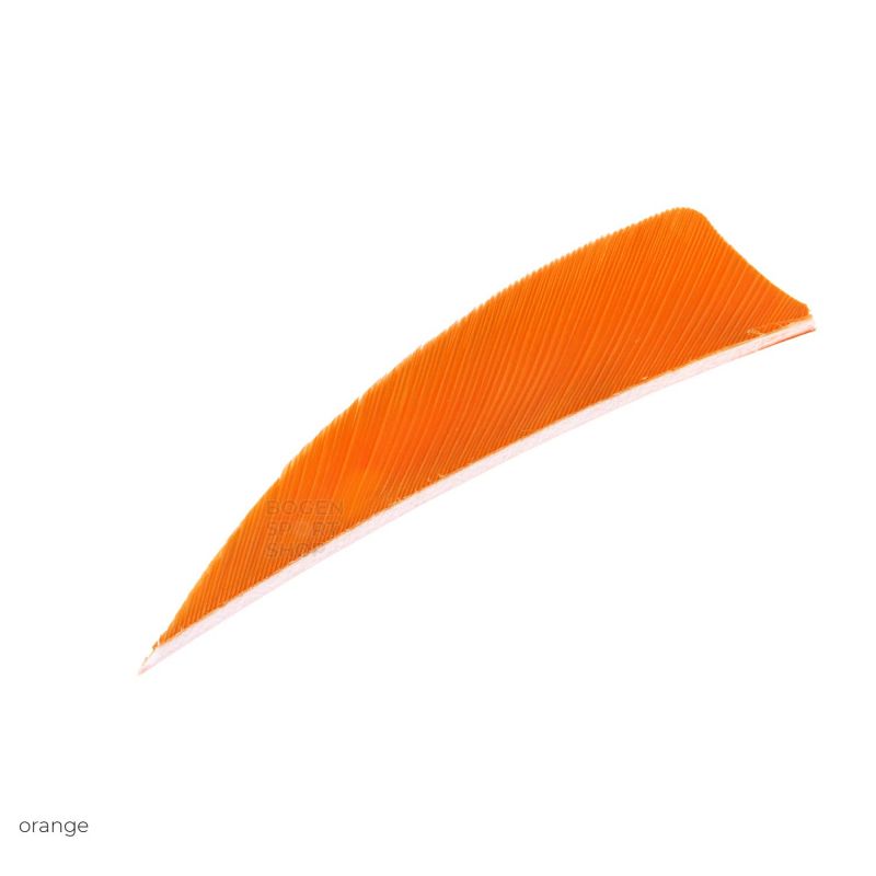 Gateway Feather 3" Shield (50 Pcs.)