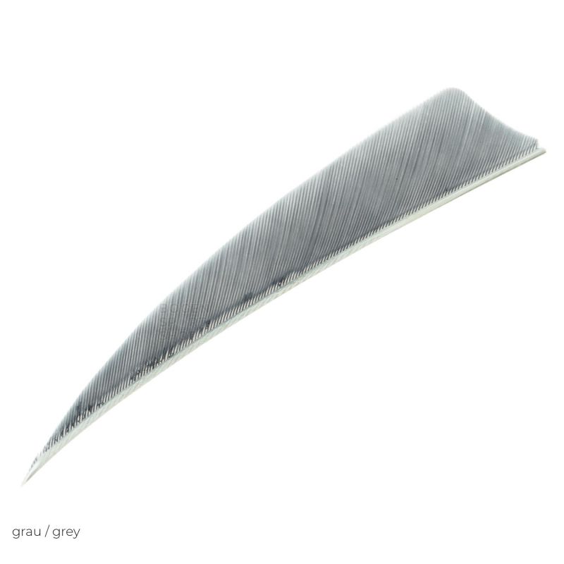 Gateway Feather 4" Shield (50 Pcs.)