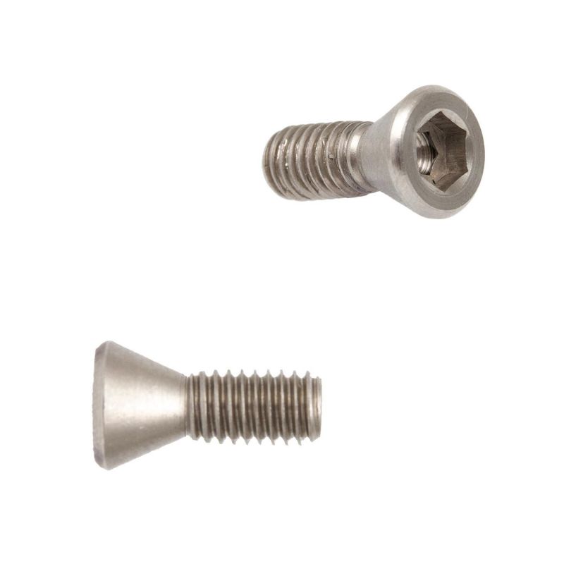 Gillo Limb Bolt Locking Screw (2 Pcs.)