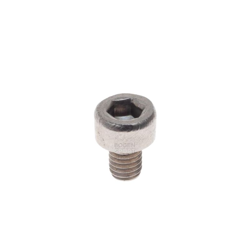 BSS Socket Cap Screw M3 x 4 mm Stainless Steel