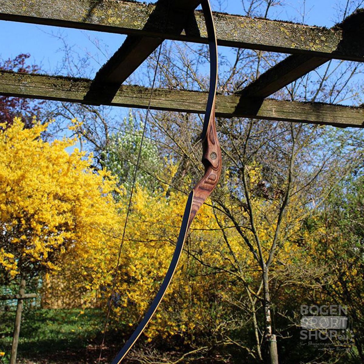 Antur Einteiliger Recurvebögen Nesta Black 60"