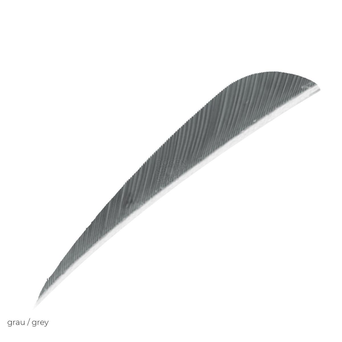 Gateway Feather 4" Parabol (50 Pcs.)