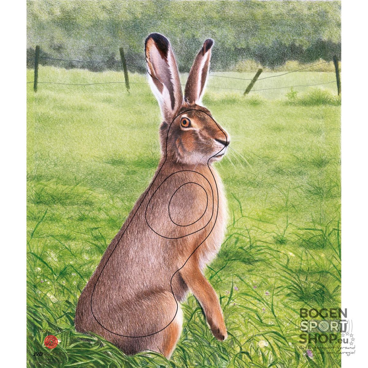 JVD Animal Target Face Hare (10 Pcs.)