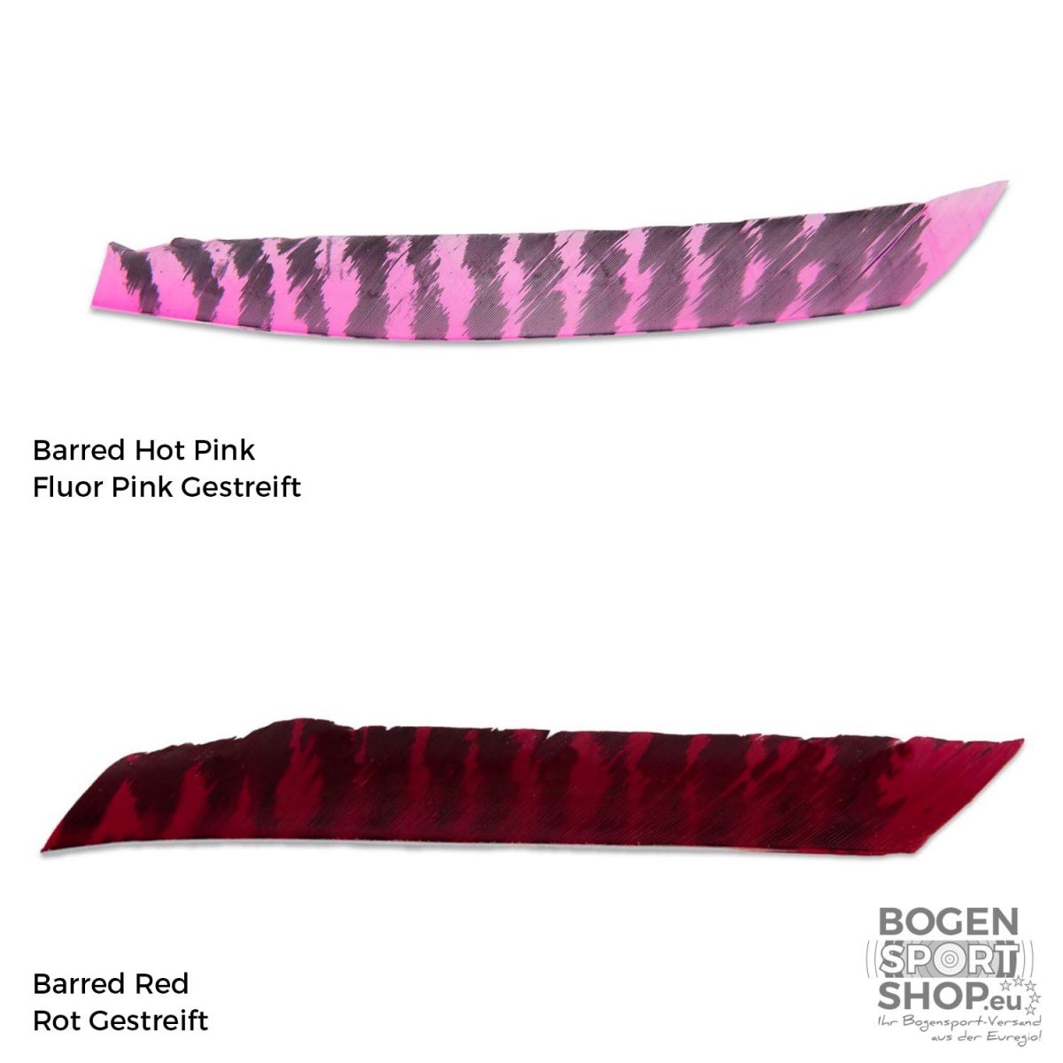 Ozark Feathers Full Length