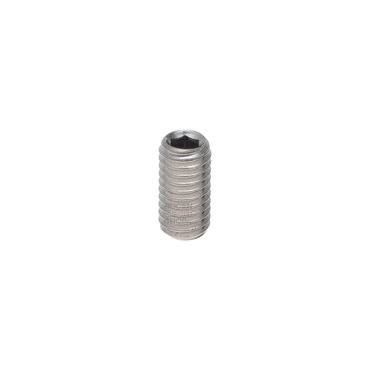 BSS Set Screw M3 x 6 mm Stainless Steel