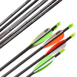 Easton Fertigpfeil Inspire