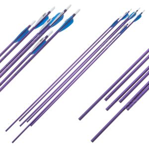 Easton Fertigpfeil XX75 Jazz Purple