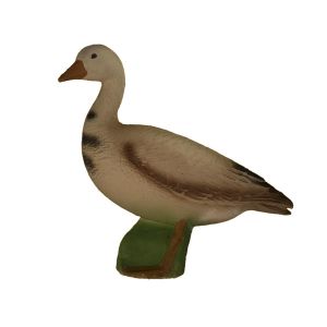 Eleven 3D Ziel Gans
